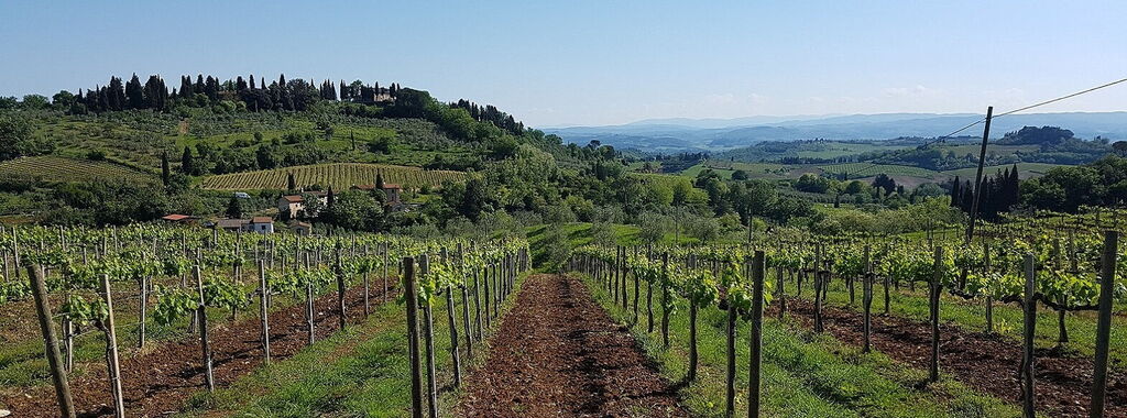 Panorama da Monteriggioni