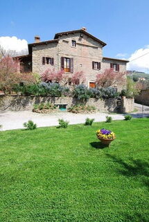 COCCIAIO