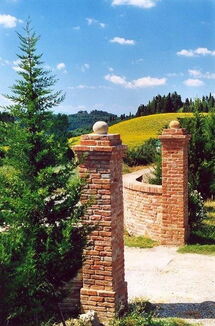 Montelopio