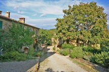 CANTINETTA