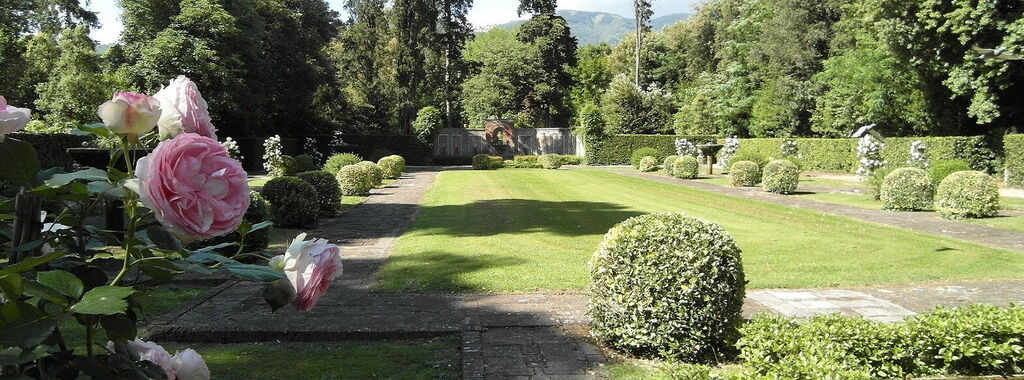 Lucca Villa Oliva