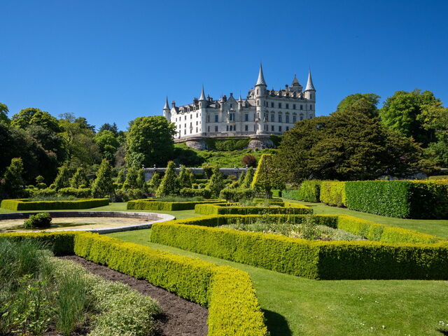 Bridgerton Experience