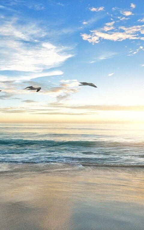 The best beaches to visit in Maremma, Tuscany