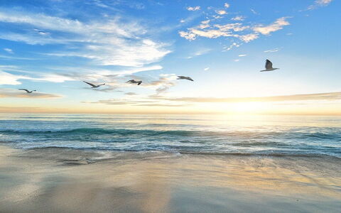 Top 10 Beaches to See on a Holiday in Maremma