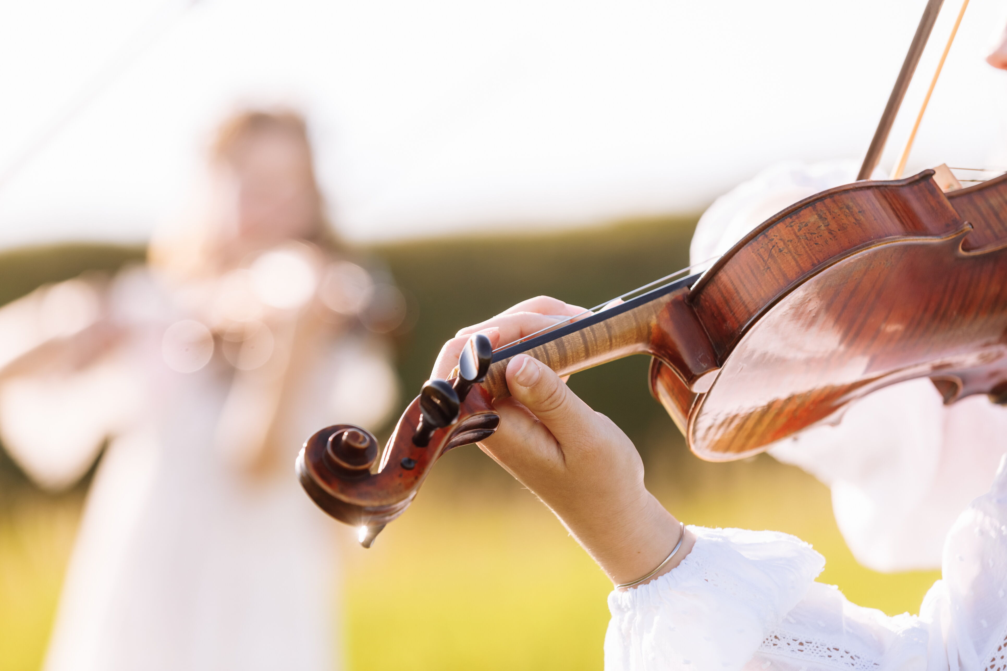 Violinista che suona nel mezzo alla natura nei filari di lavanda