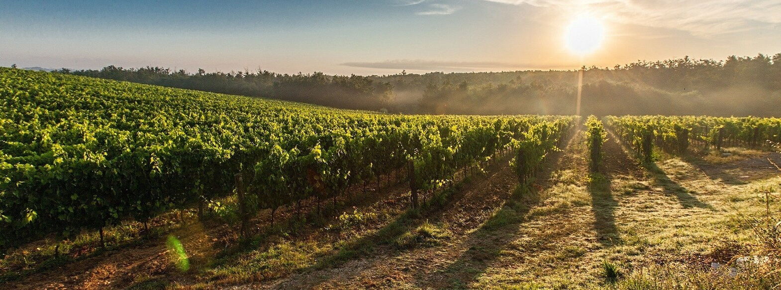 Itinerario sulle tracce di Leonardo da Vinci