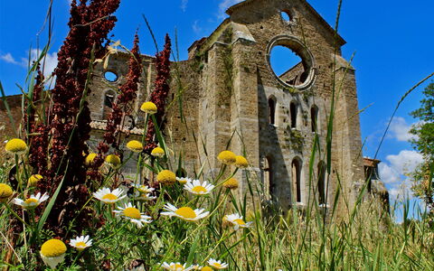 An Unusual Guide to Tuscany, Umbria, and Lazio