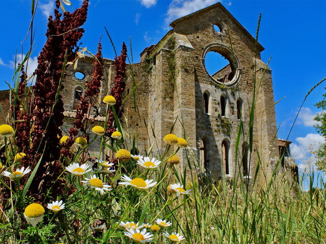 An Unusual Guide to Tuscany, Umbria, and Lazio