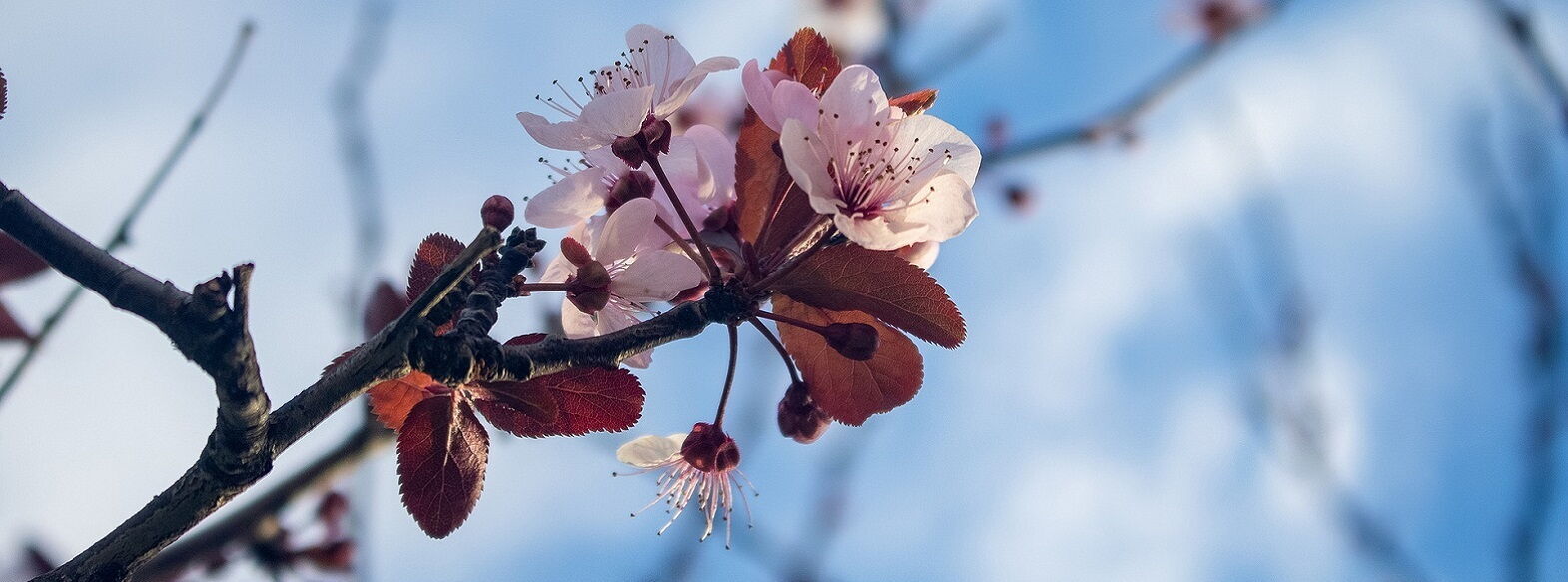 Best things to do in Balearic Islands in Winter