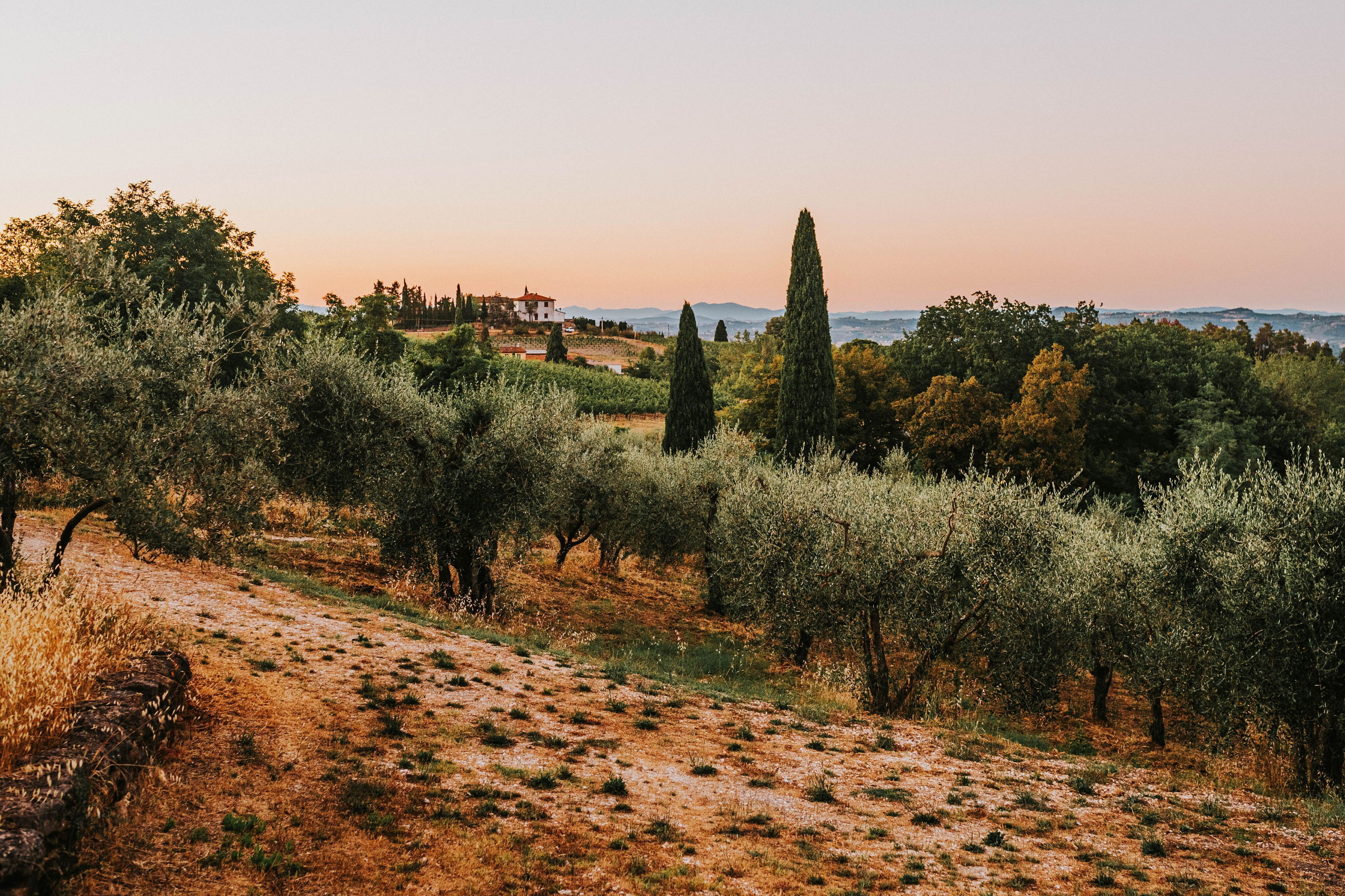 Tuscan Hills September