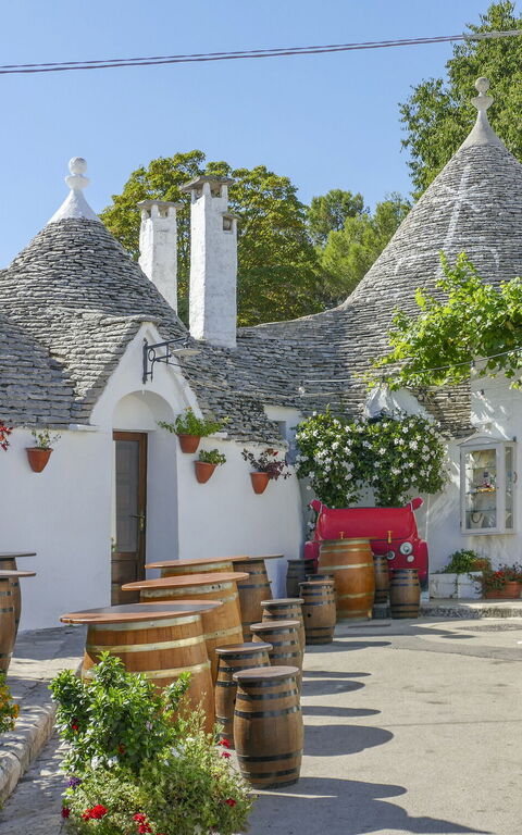 Unforgettable holidays