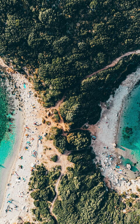 A Comprehensive Guide