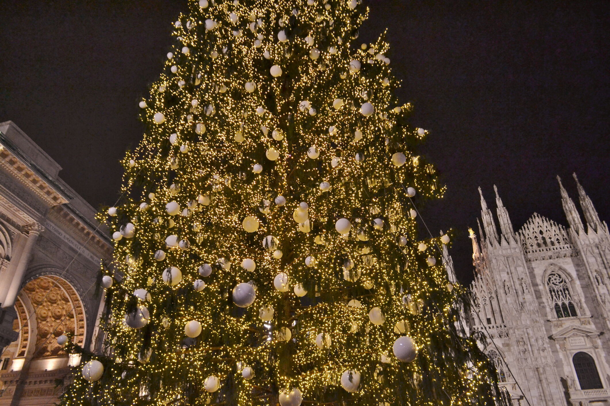 Preparazione del panettone artigianale