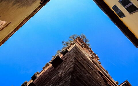 A Tour of Lucca'S Main Towers: Torre Guinigi and Torre delle Ore