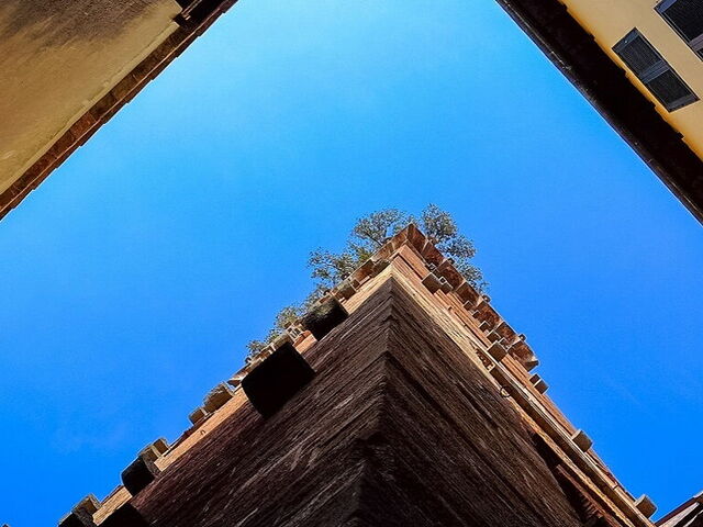 A Tour of Lucca'S Main Towers: Torre Guinigi and Torre delle Ore