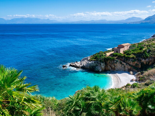 The White Lotus Experience