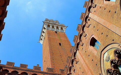 Siena: 7 Beautiful Things to See During a Perfect City Tour