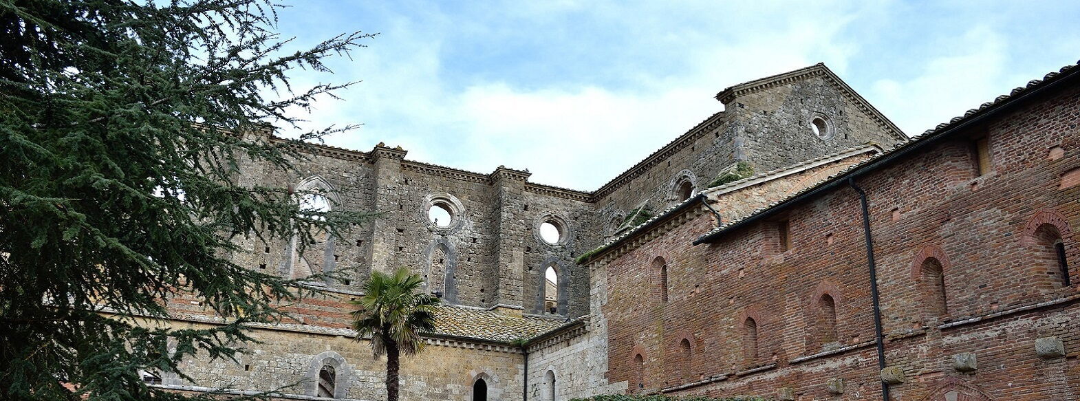 The Abbey at Nighttime