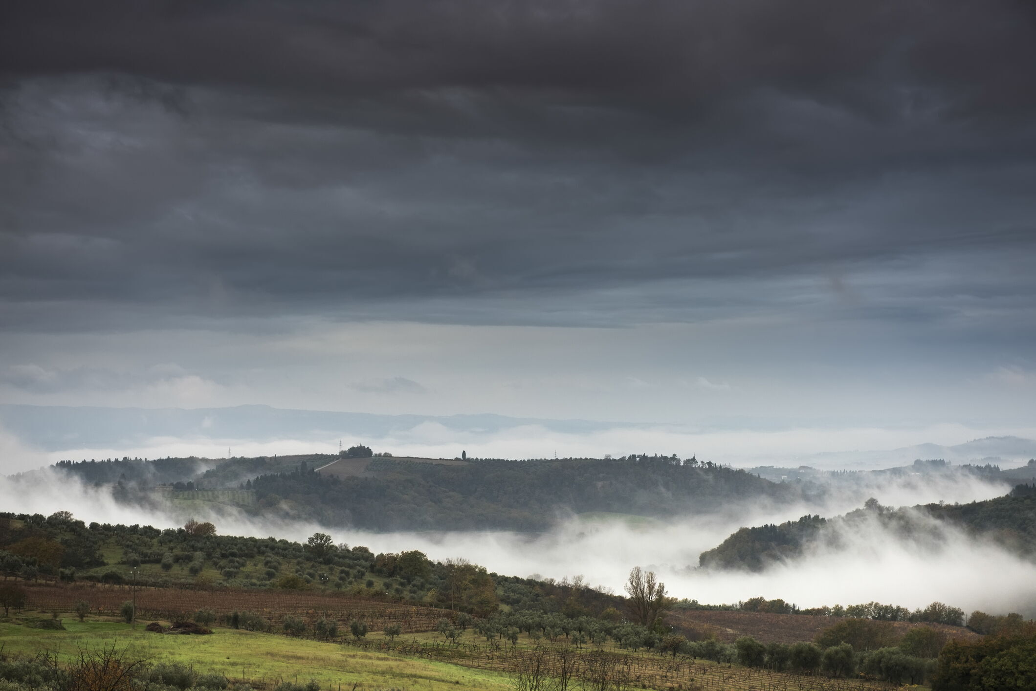 Colline Toscane nei pressi di Semifonte