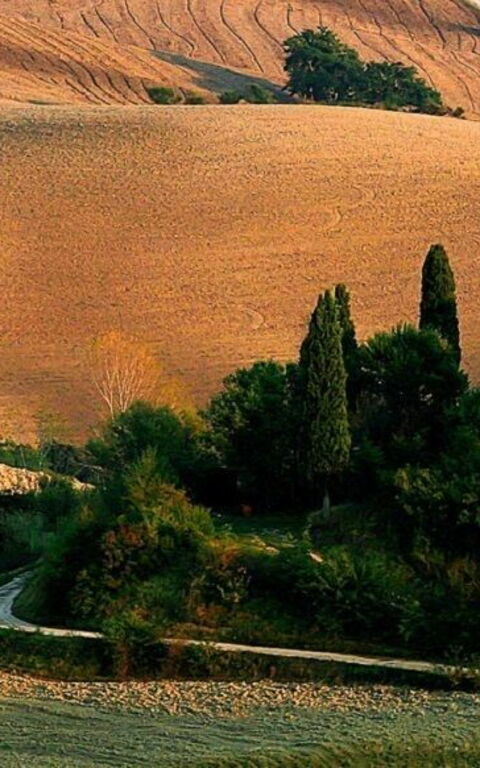 When nature performs: the Theatre of Silence.