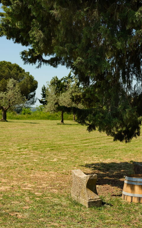 Pozzo Dei Desideri: Building Exterior, Garden, Outdoor