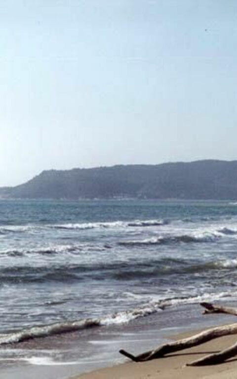 Presidio: Scenic View