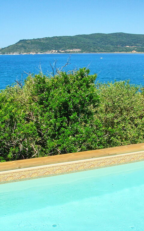 Presidio: Garden, Pool