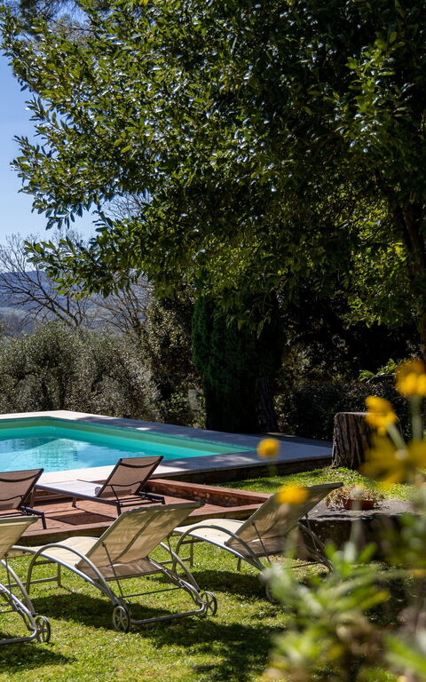 Villa Orchidea: Outdoor, Pool