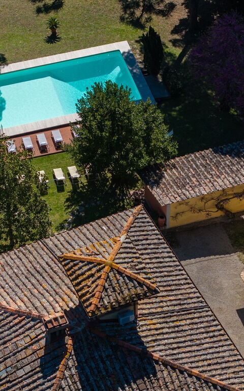 Villa Orchidea: Outdoor, Pool