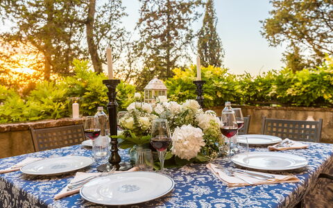 Accommodation Galleria: Garden, Outdoor