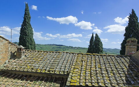 Accommodation Torre: Scenic View