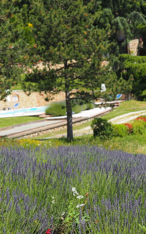 Cornocchio: Scenic View