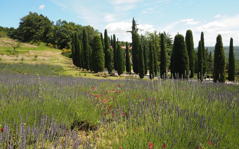Cornocchio: Scenic View