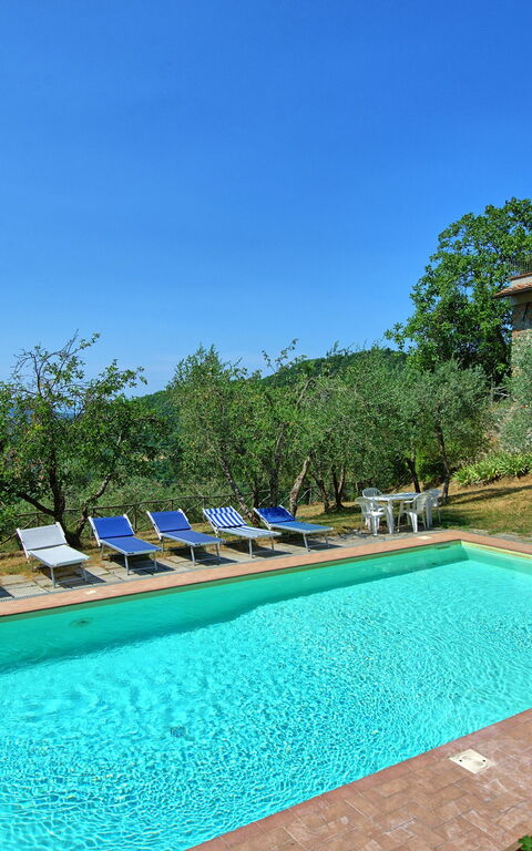 Poggio Conca: Pool, Summer