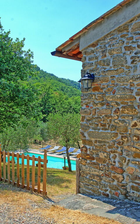 Poggio Conca: Garden