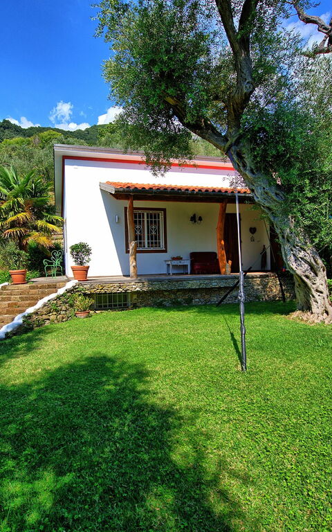 Villa Oliveta: Garden, Outdoor