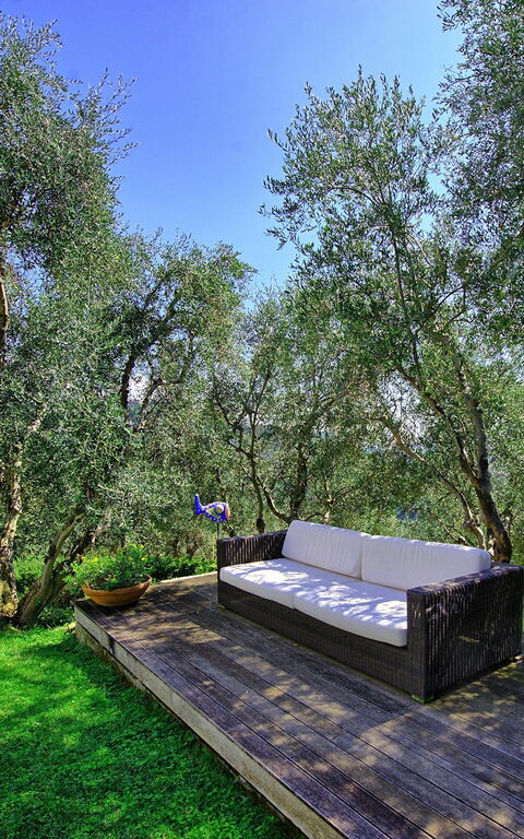 Villa Oliveta: Garden