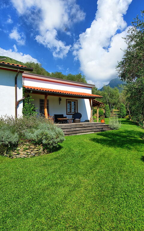 Villa Oliveta: Garden, Outdoor