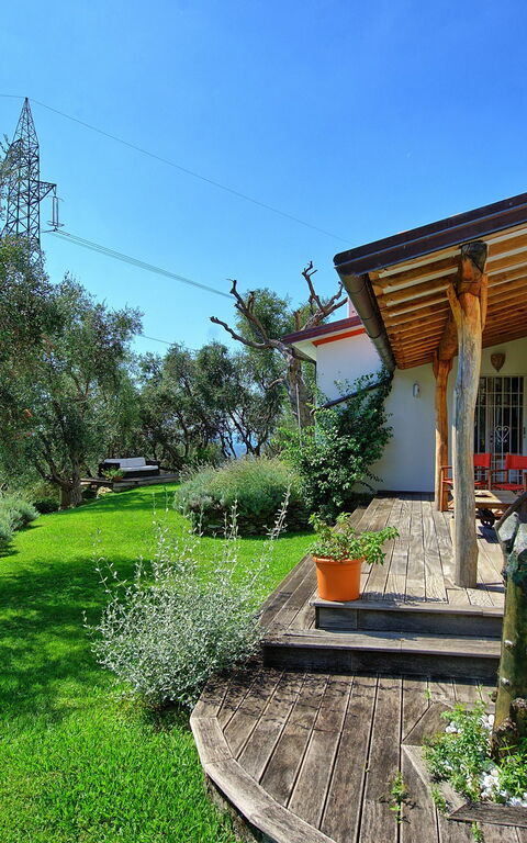 Villa Oliveta: Garden