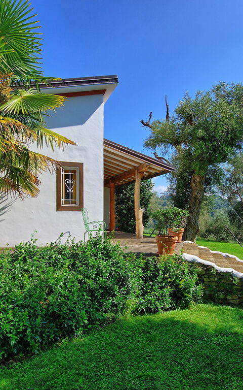 Villa Oliveta: Garden, Outdoor