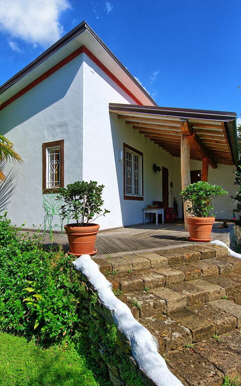 Villa Oliveta: Garden, Outdoor