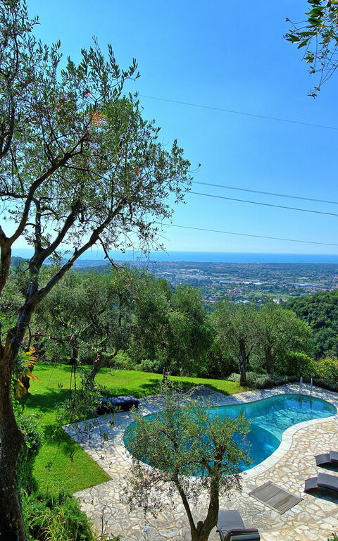 Villa Oliveta: Pool, Scenic View