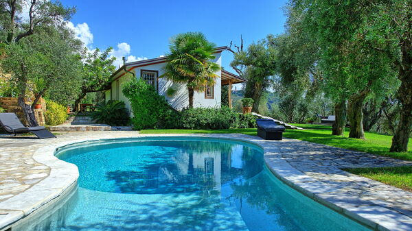 Villa Oliveta: Pool, Summer