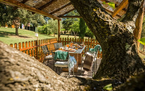 Accommodation Montelopio 7: Garden, Outdoor