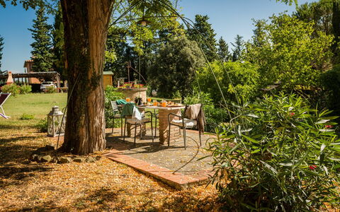 Accommodation Montelopio 4: Garden, Outdoor