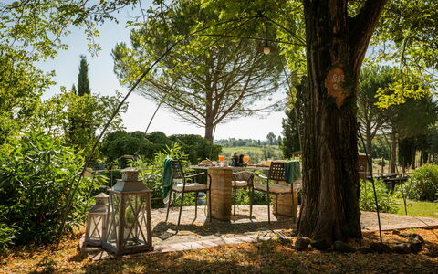 Accommodation Montelopio 4: Garden, Outdoor