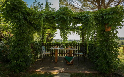 Accommodation Montelopio 8: Garden, Outdoor