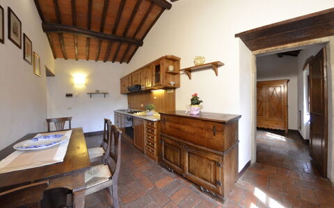 Accommodation Mimosa