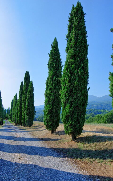 Casale Giulio: Scenic View