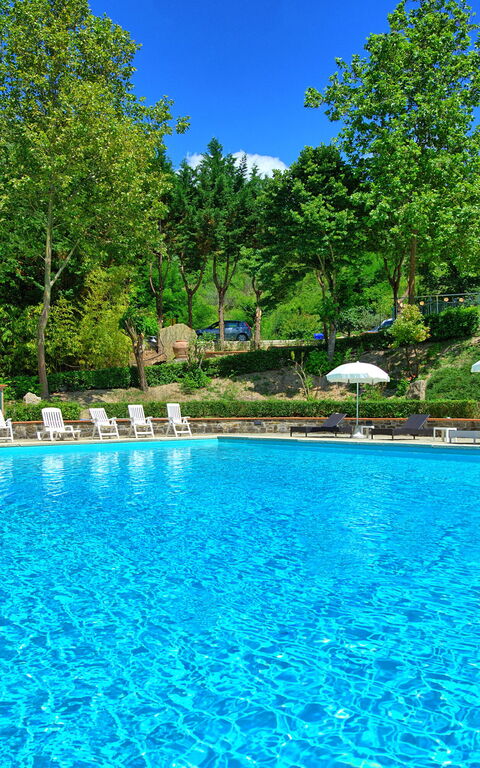 Villa Contessa: Pool